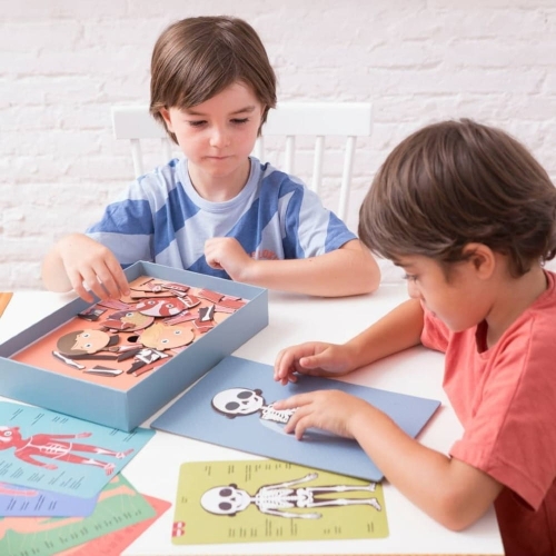 Układanka Magnetyczna Apli Kids Ciało Człowieka