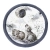 Mata edukacyjna Wolf Moonlight - BabySteps