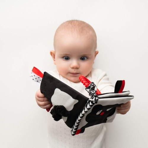 Książeczka Sensoryczna Kontrastowa Kto to? Co to? - Mom's Care