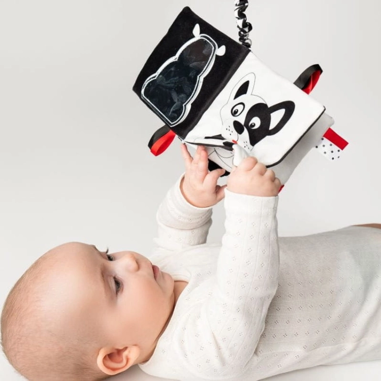 Książeczka Sensoryczna Kontrastowa Kto to? Co to? - Mom's Care