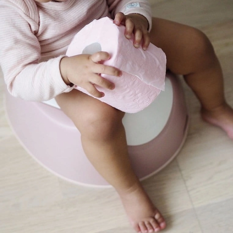 Nocnik dla Dzieci z Wyjmowanym Wkładem Beaba Old Pink Różowy
