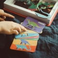 Układanka Magnetyczna Janod Magnetibook Dinozaury