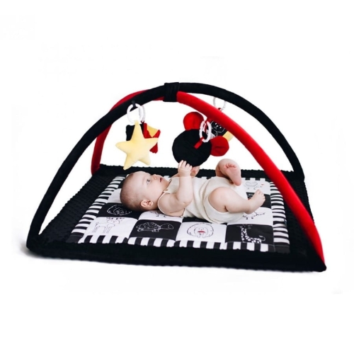 Mata edukacyjna Kontrastowa z Pałąkami  BabySteps