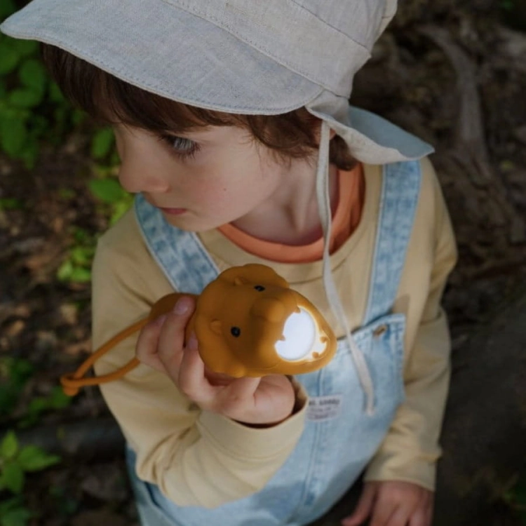 Latarka Lew LEO / Rabbit and Friends