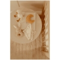 Ekologiczny prezent na Baby Shower Little Dutch Newborn Naturals