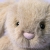 Zbliżenie na twarz przytulanka Króliczek Flufflet 18cm oat Jellycat – różowy nosek i czarne oczka, miękka maskotka dla niemowląt