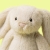 Zbliżenie na twarz przytulanka Króliczek Flufflet 18cm wheat Jellycat – kremowy nosek i czarne oczka, miękka maskotka na żółtym tle