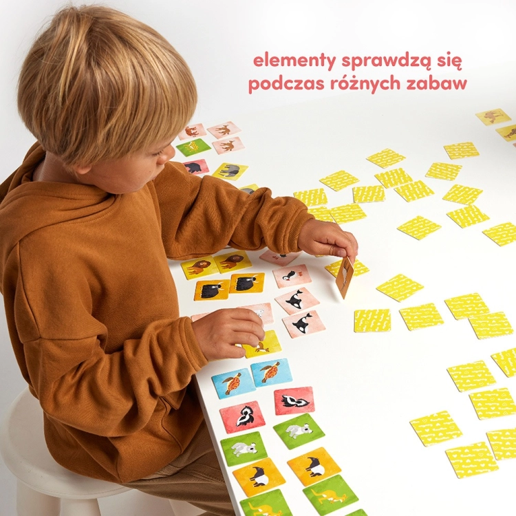 Chłopiec dobiera pary kart memory Zwierzęta świata CzuCzu przy białym stoliku