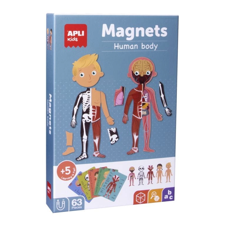 Układanka Magnetyczna Ciało Człowieka  / Apli Kids