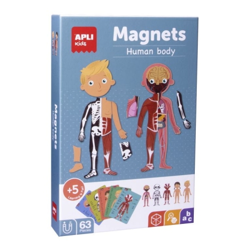 Układanka Magnetyczna Apli Kids Ciało Człowieka