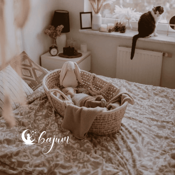 Co to jest kosz Mojżesza?