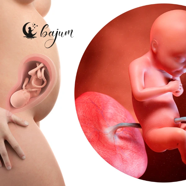 Jak wygląda rozwój płodu tydzień po tygodniu w czasie ciąży?